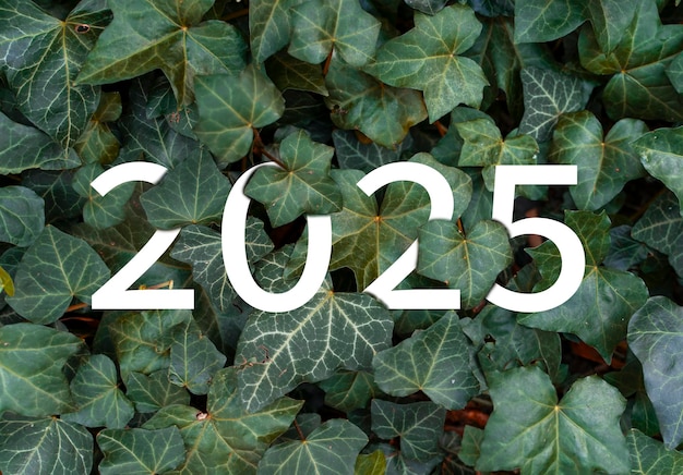 El nuevo año 2025 texto blanco escondido en hojas verdes naturales pared