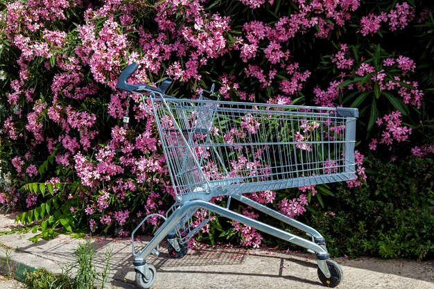 El nuevo carrito de compras está parado en el estacionamiento cerca de un hermoso arbusto floreciente.