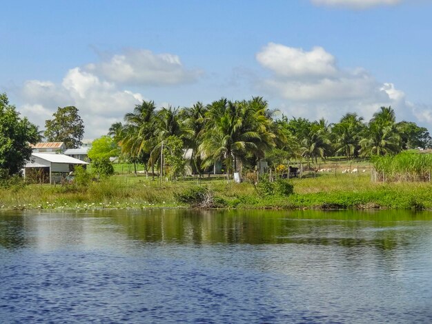 El nuevo río en Belice