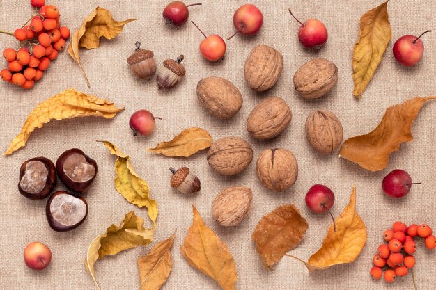 Nuez, bayas de serbal y pequeñas manzanas rojas sobre tela de saco marrón, bodegón rústico, concepto de cosecha de otoño.