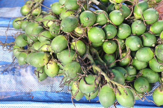 nuez de betel en la comida de la calle