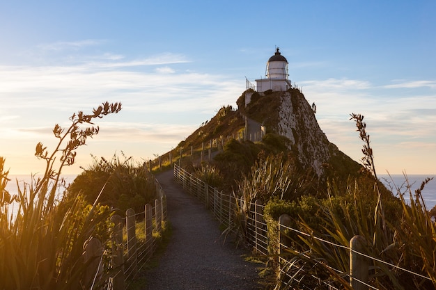 Nugget Point Lighthouse Catlins Neuseeland