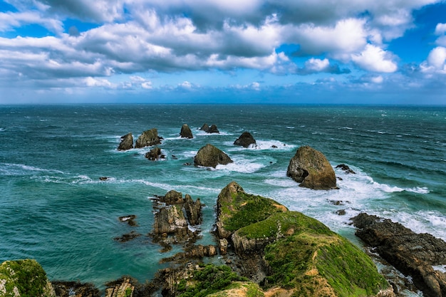 Nugget Point rock no oceano em Otago, Nova Zelândia