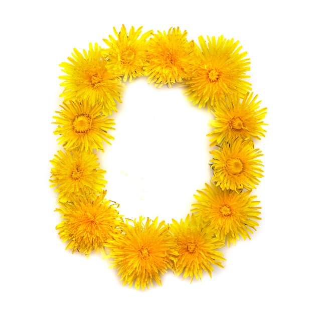 Número 0 de flores de diente de león de color amarillo brillante, aislar sobre un fondo blanco.