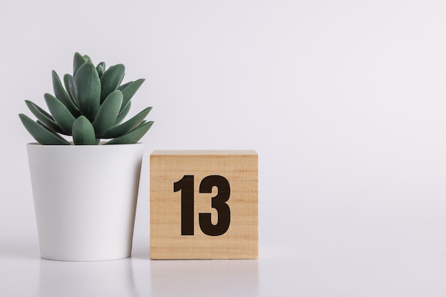 El número 13 en bloque de pino de madera sobre fondo blanco junto a una planta suculenta con espacio para copiar o imprimir útil para calendario y gráficos de eventos