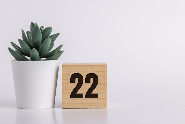 El número 22 en bloque de pino de madera sobre fondo blanco junto a una planta suculenta con espacio para copiar o imprimir útil para gráficos de calendario y eventos