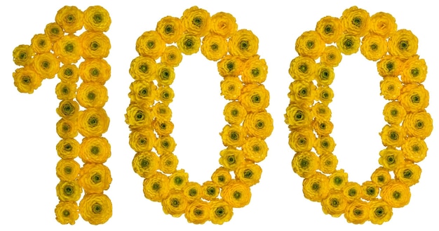 Número árabe 100 cem de flores amarelas de buttercup isoladas em fundo branco