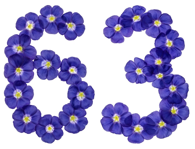 Número árabe 63 sesenta y tres de flores azules de lino aisladas sobre un fondo blanco