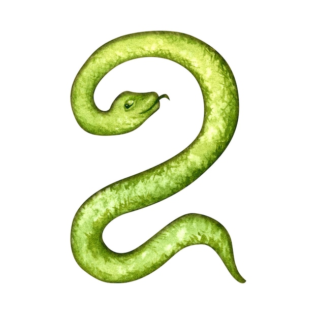 Número dos en forma de una serpiente de madera verde como un símbolo del zodiaco de Feliz Año Nuevo Chino 2025