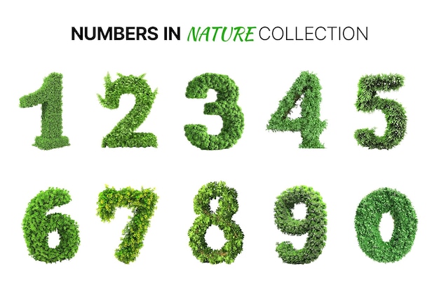 números na natureza cheios de coleção de folhas