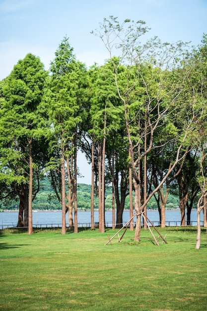 Números y reflejos en los parques de la ciudad.