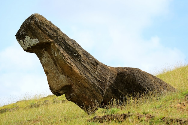 Una de las numerosas y enormes estatuas de Moai sin terminar en la ladera del volcán Rano Raraku