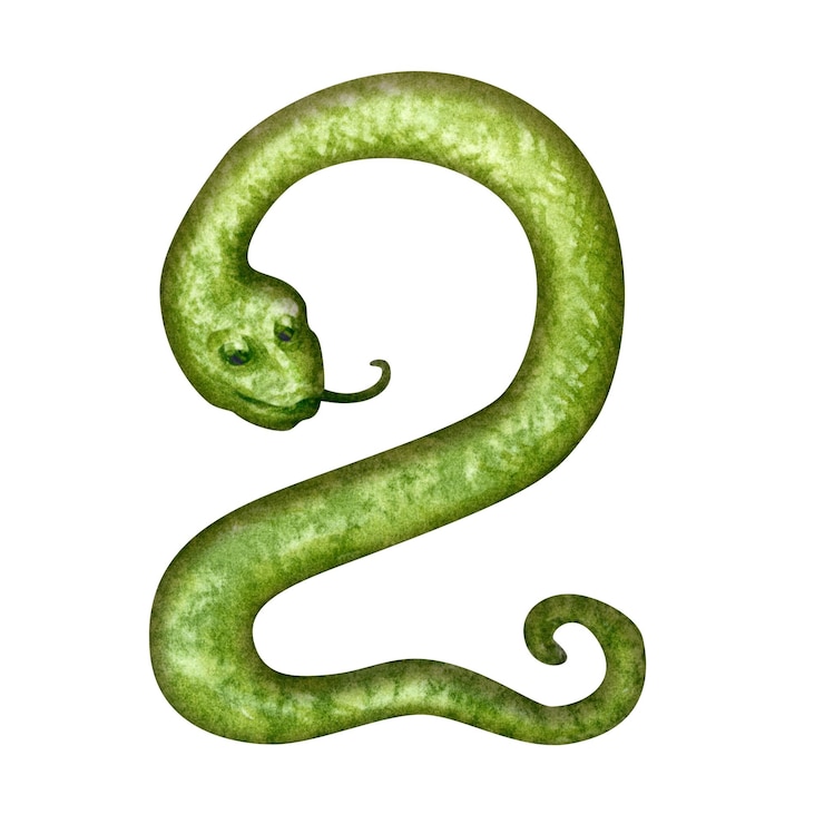 Foto nummer zwei in form einer grünen holzschlange als zodiac-symbol des glücklichen chinesischen neujahrs 2025