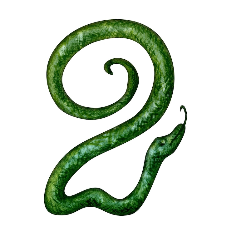 Foto nummer zwei in form einer grünen holzschlange als zodiac-symbol des glücklichen chinesischen neujahrs 2025