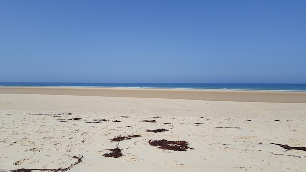 Nur leerer Sandstrand mit niemandem am Sommertag