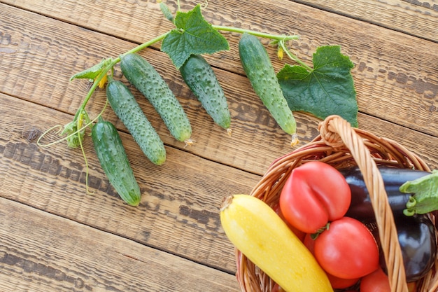 Nur Tomaten, Gurken, Auberginen und Kürbis im Weidenkorb auf alten Holzbrettern gepflückt. Gerade geerntetes Gemüse. Ansicht von oben.