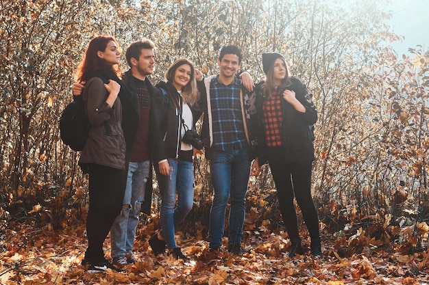 Nur wenige Freunde genießen sonniges Herbstwetter beim Wandern im Wald.