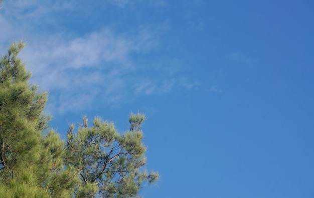 Nuvem branca no céu azul