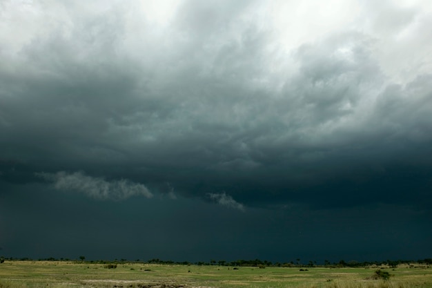 Nuvem de chuva sobre a paisagem de África, Parque Nacional Serengeti, Serengeti, Tanzânia