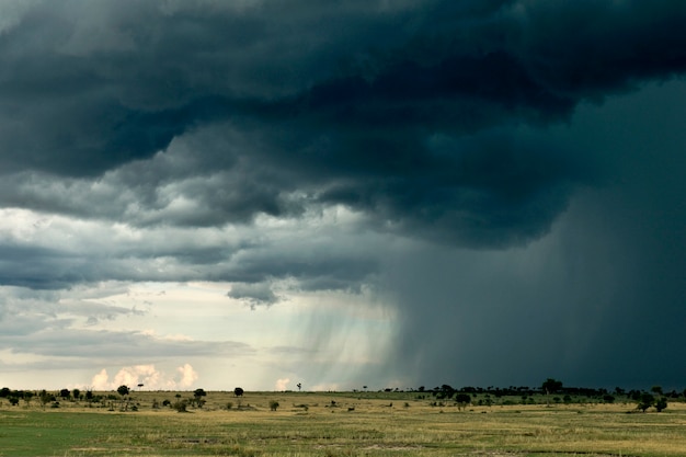 Nuvem de chuva sobre a paisagem de África, Parque Nacional Serengeti, Serengeti, Tanzânia