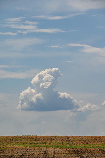 Nuvem única no céu azul acima do campo agrícola