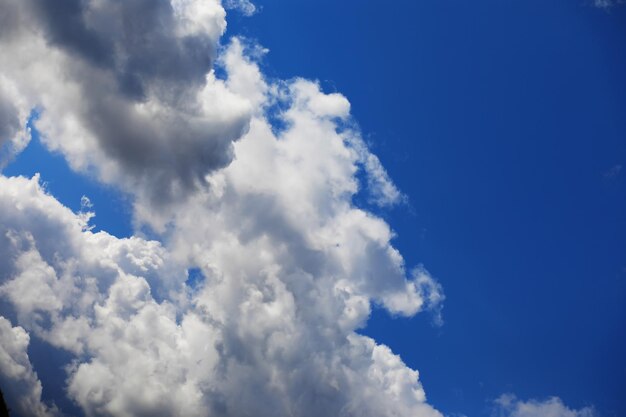 Nuvens altas no céu de verão. Fundo do céu. Observações meteorológicas do céu.