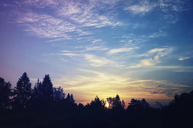 Nuvens altas no céu de verão Fundo do céu Observações meteorológicas do céu