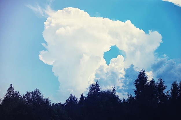 Nuvens altas no céu de verão Fundo do céu Observações meteorológicas do céu