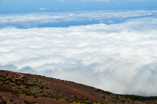 Nuvens altas sobre a floresta de pinheiros