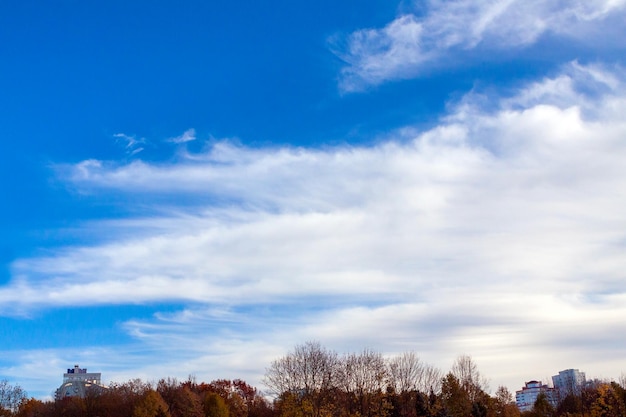 Nuvens brancas contra um céu azul a borda da floresta pode ser vista à distância