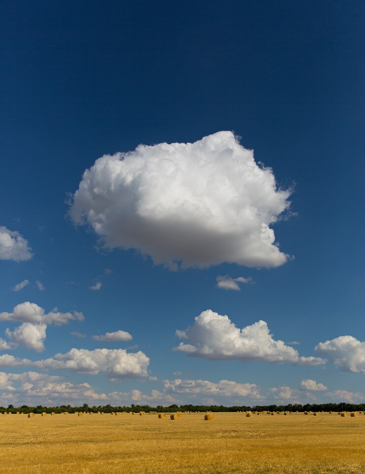 Foto nuvens brancas no céu azul acima do campo de trigo