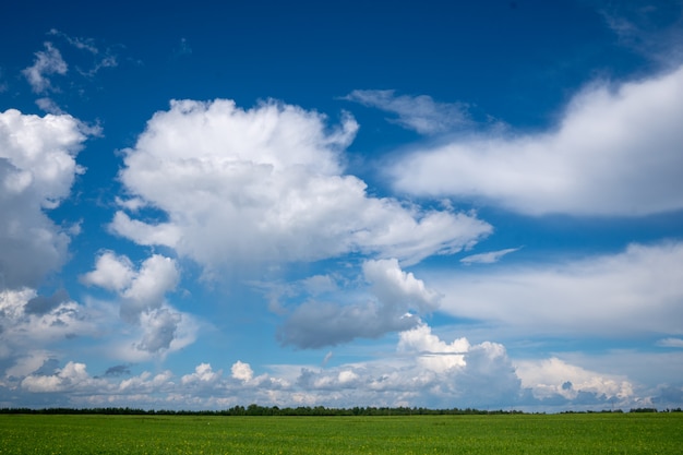 Nuvens brancas no céu azul.