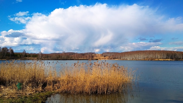 nuvens brancas sobre um grande lago na floresta