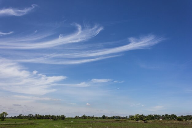 nuvens brancas