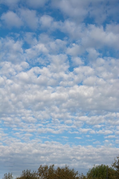 Nuvens de cor branca cobrem o céu azul