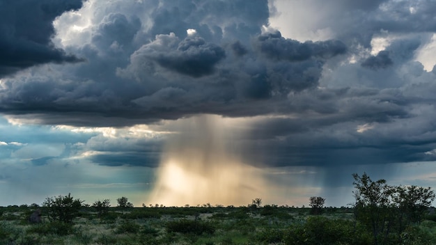 Nuvens de tempestade escuras com raios de luz solar destacando a chuva