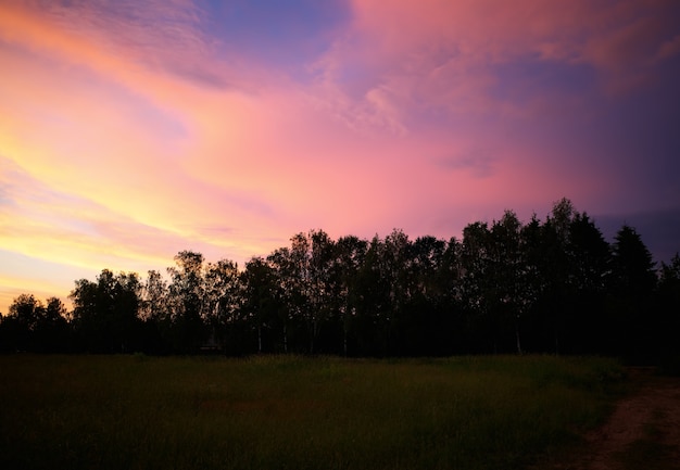 Nuvens do pôr do sol sobre a silhueta do fundo da floresta