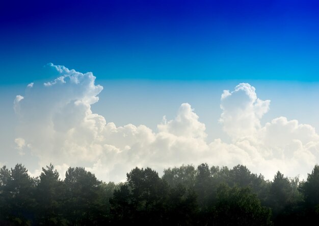 Nuvens dramáticas sobre o fundo da paisagem da floresta