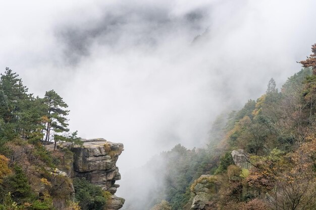 Nuvens e neblina no vale bela paisagem de outono exuberante província de jiangxi China