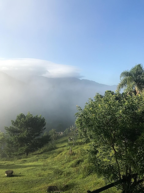 Foto nuvens e neblina sobre a natureza