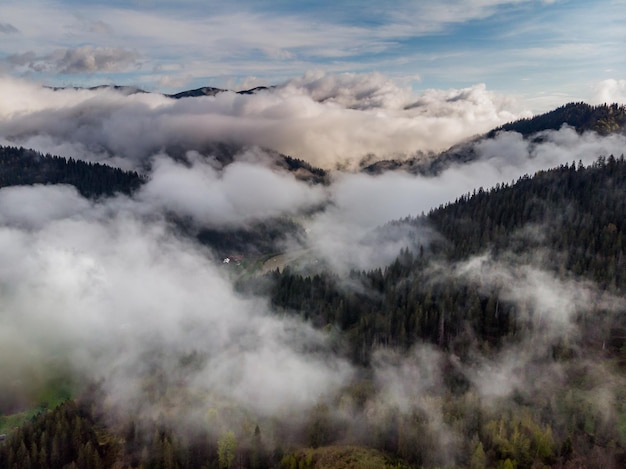 Nuvens e névoa das montanhas dos Cárpatos na floresta de pinheiros