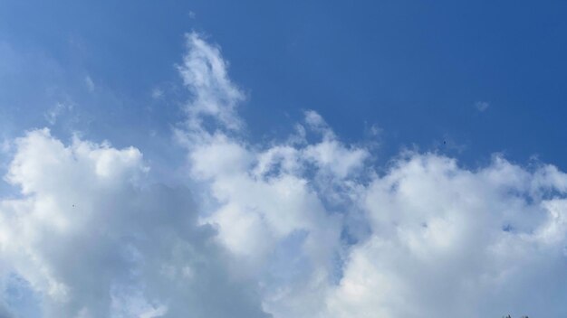 Nuvens fofas e fofas com céu fresco