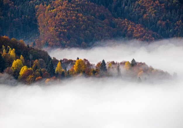 Nuvens nebulosas da manhã no campo montanhoso de outono Ucrânia Carpathian Mountains Transcarpathia