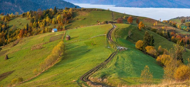 Nuvens nebulosas da manhã no campo montanhoso de outono Ucrânia Cárpatos Transcarpática Pacífica viagem pitoresca natureza sazonal e cena do conceito de beleza rural