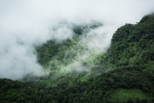 Foto nuvens no topo da montanha