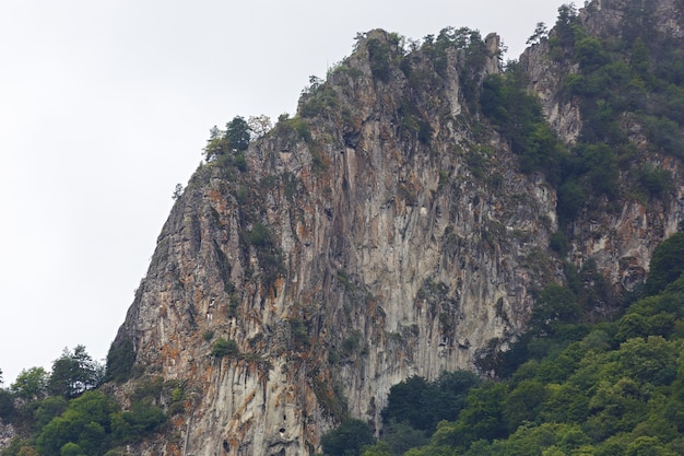 Nuvens no topo das montanhas rochosas cobertas de árvores