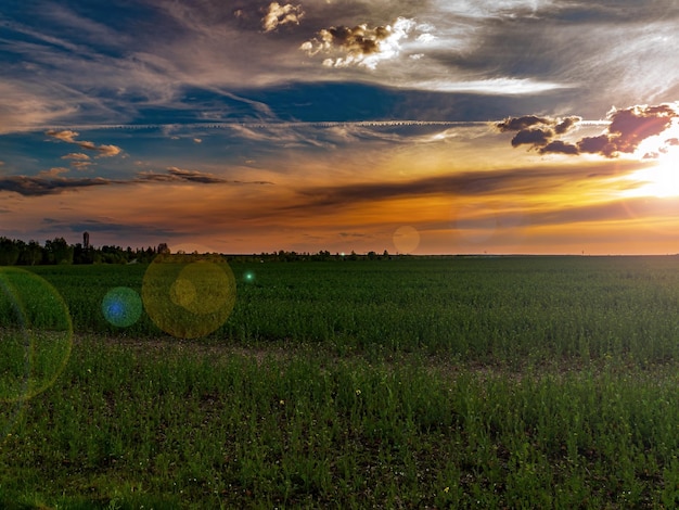 Nuvens nos raios laranja do pôr do sol sobre um campo agrícola verde