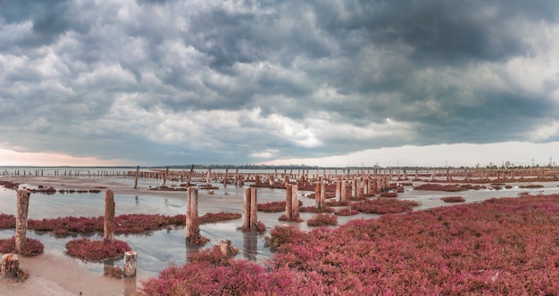 Nuvens, sobre, a, lago salgado, perto, odessa, ucrânia