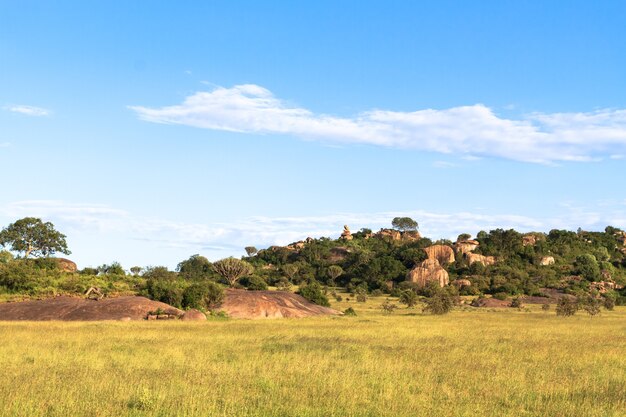 Foto nuvens sobre a savana. campo amarelo. serengeti, tanzânia