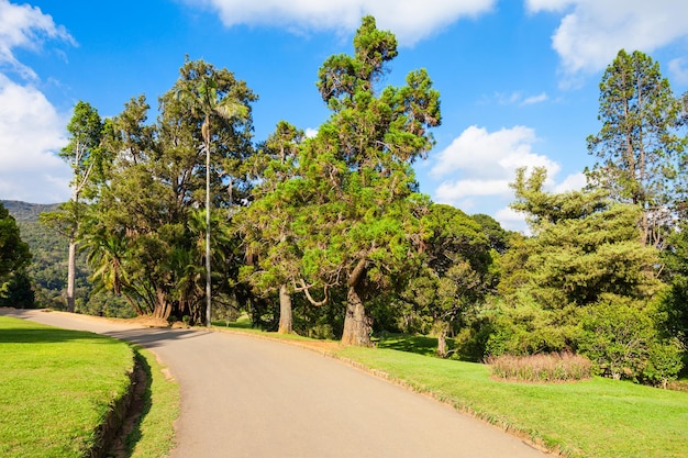 NUWARA ELIYA, SRI LANKA - 22. FEBRUAR 2017: Hakgala Botanischer Garten in Nuwara Eliya, Sri Lanka. Der Botanische Garten Hakgala ist einer der fünf botanischen Gärten in Sri Lanka.